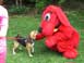 Clifford_MetroBarks_WGTE