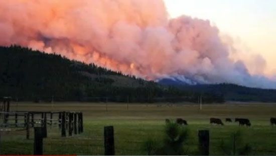 Teakettle Fire