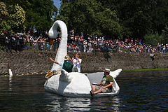 HWCswan