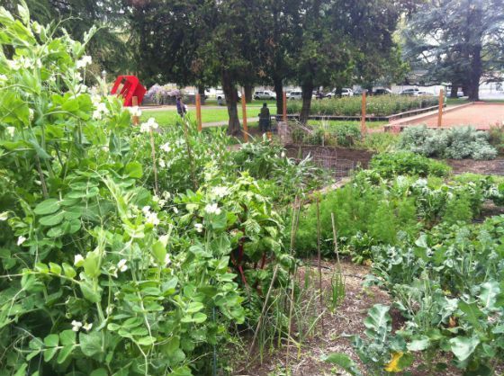 garden2