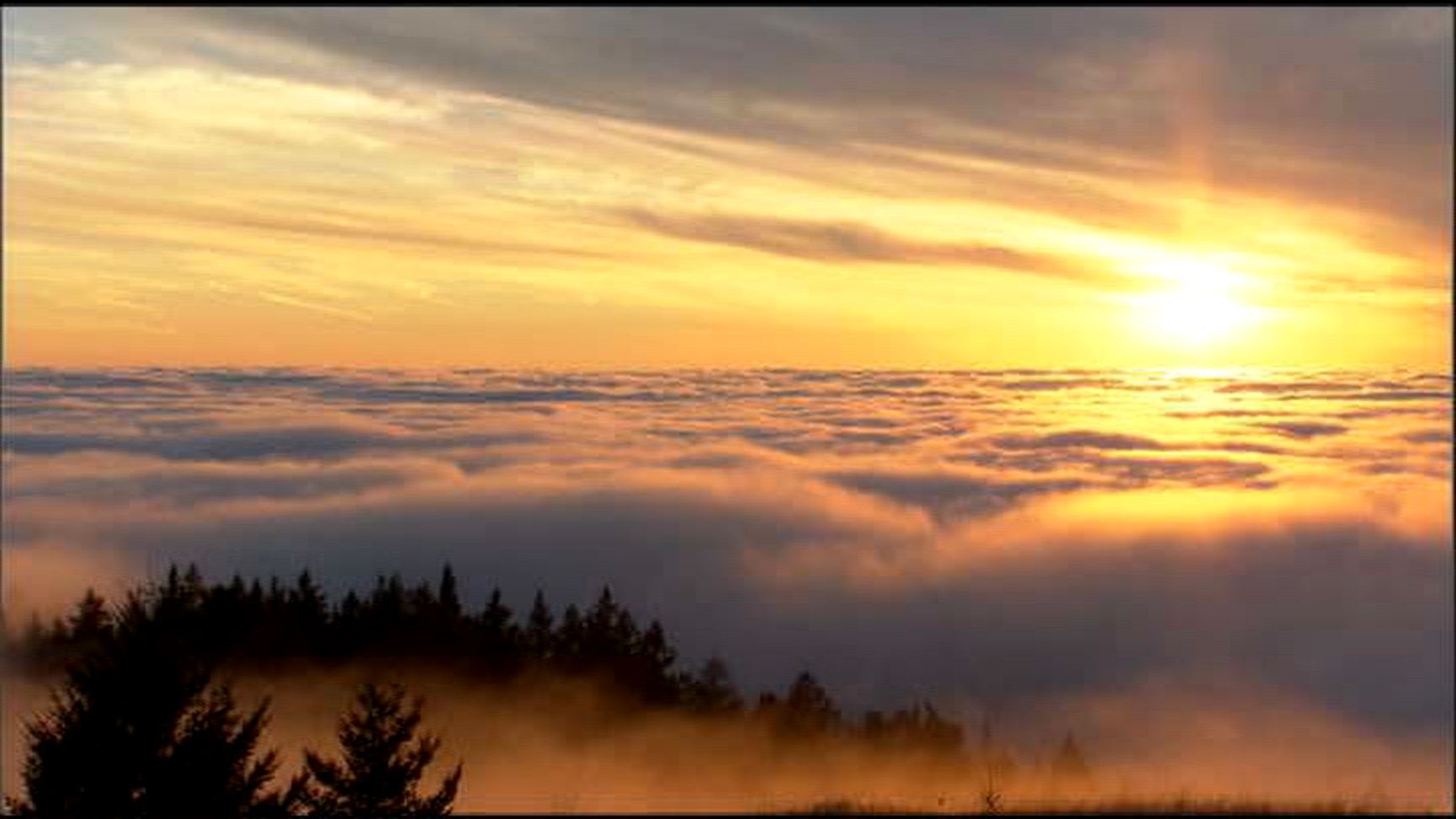fog2 copy