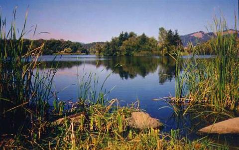 SpringLake1