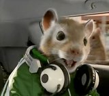 radiofreesean