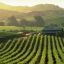 napa-valley