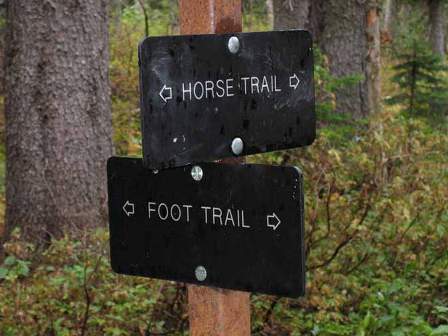 Trail_Signage