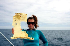 Much of the plastic debris floating in the world's oceans originated as large pieces--such as this chuck of a plastic crate that Box is holding-- but is broken down into increasingly small particles.