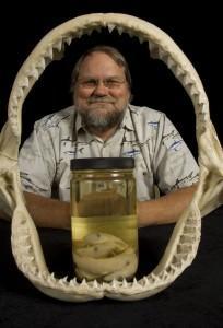George Burgess directs the shark research program at the University of Florida's Museum of Natural History.