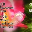 sunceAuction