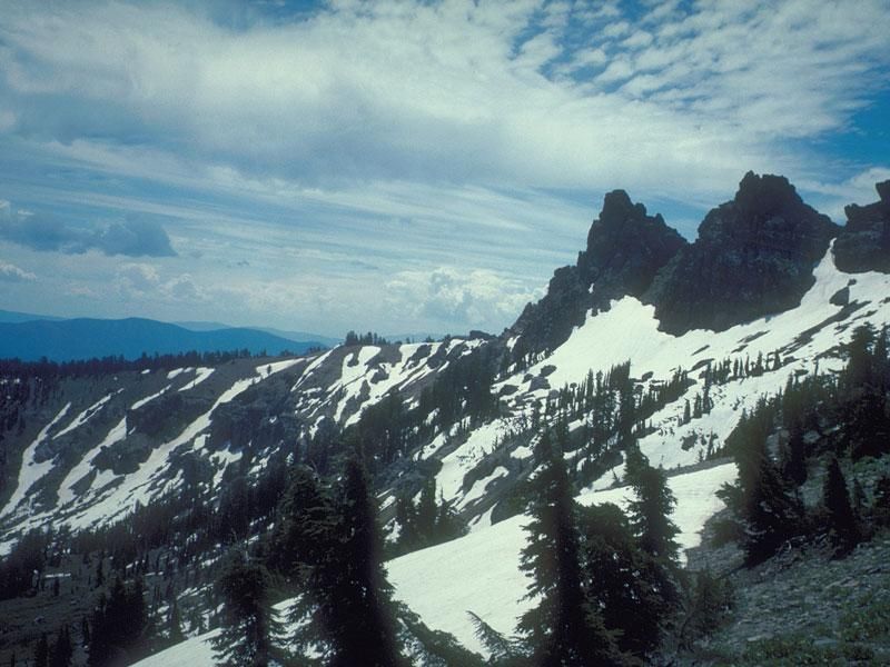 0515 NHM CastlePeak Forister p