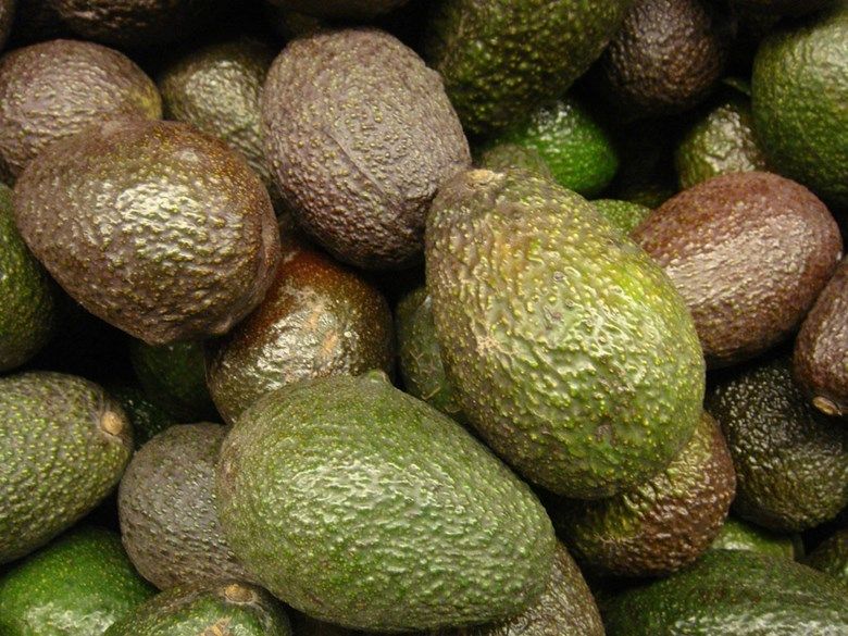 AvocaNO