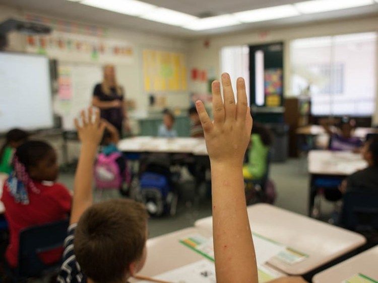 classroom show of hands