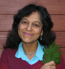 nadkarni nalini