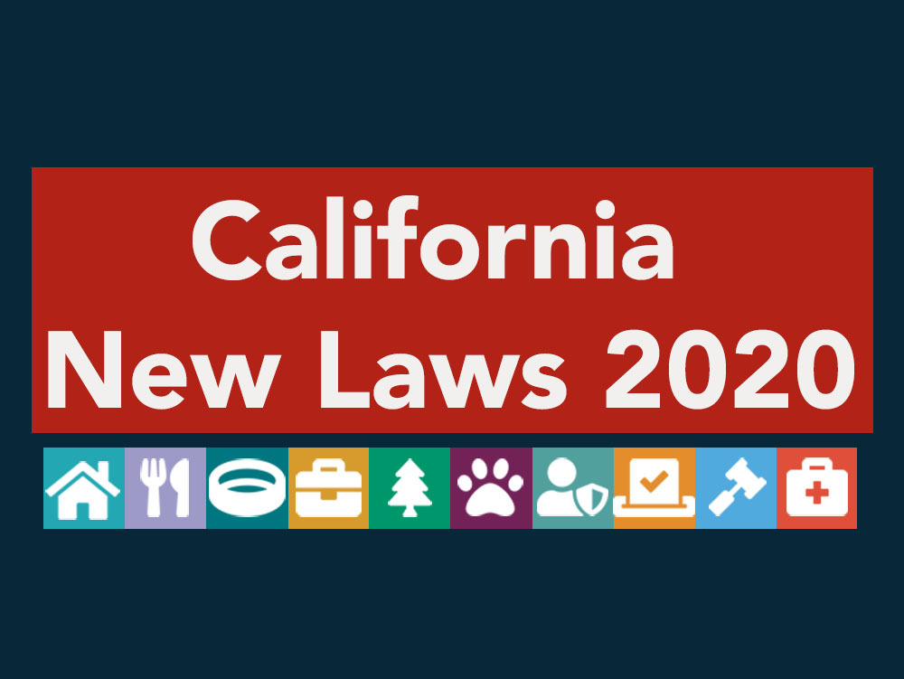 newlaws2020p