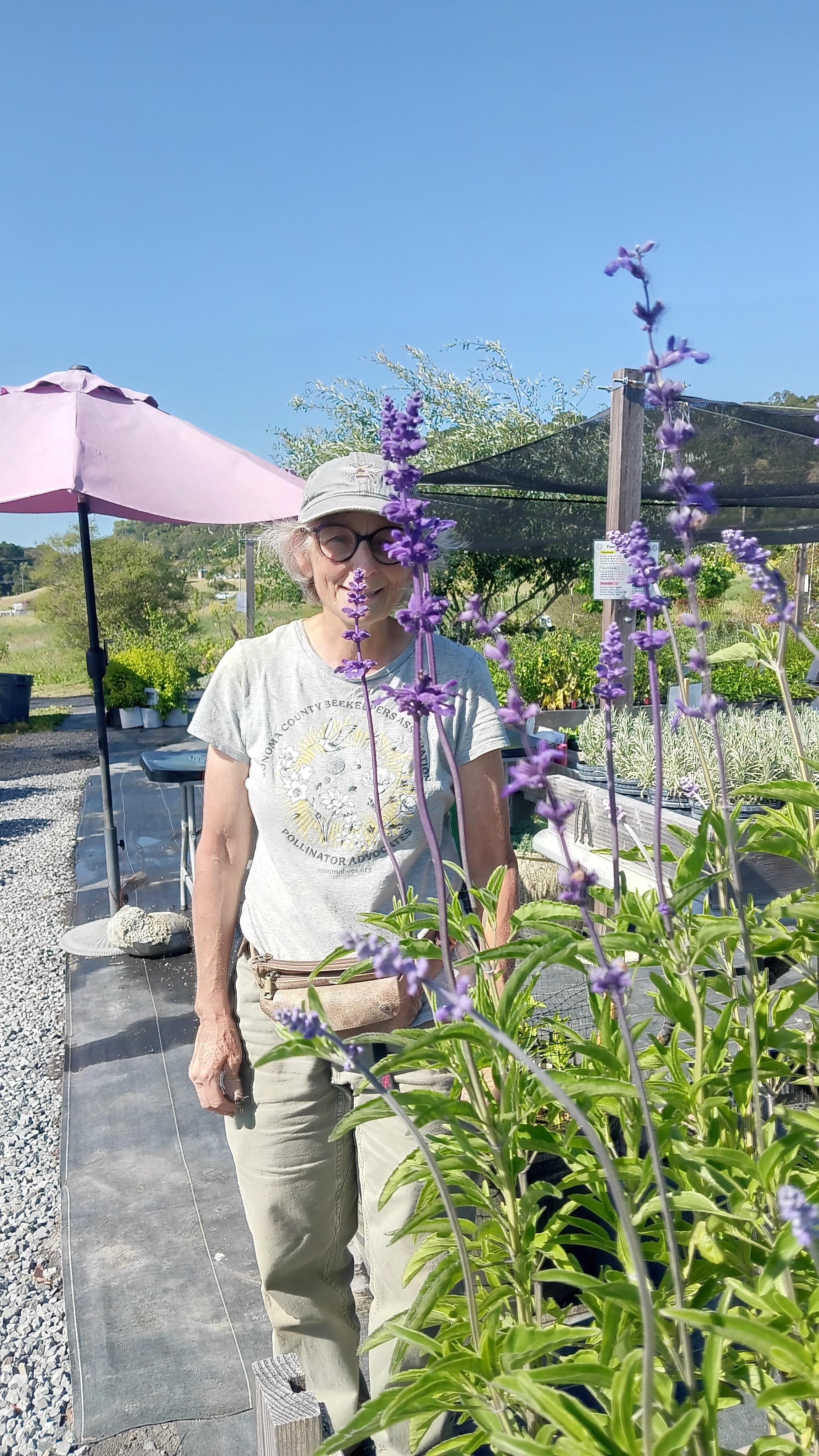Susan and Salvia