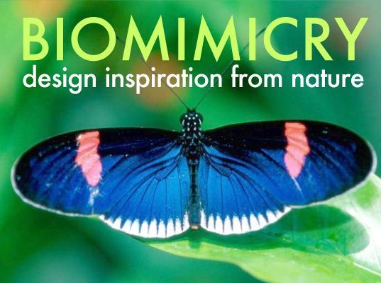 BiomimicryVeer