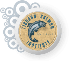 logo TSI