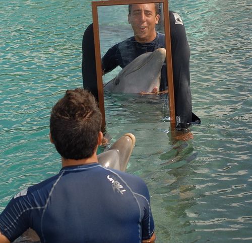 in mirror