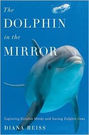mirror coverJPG