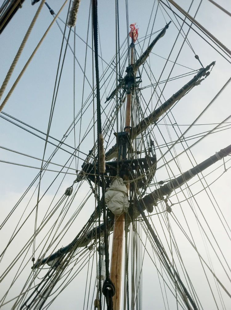 Rigging