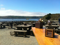 Hog-Island2