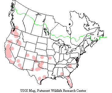 usgs Barn Owl