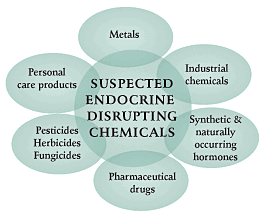 EDCDiagram