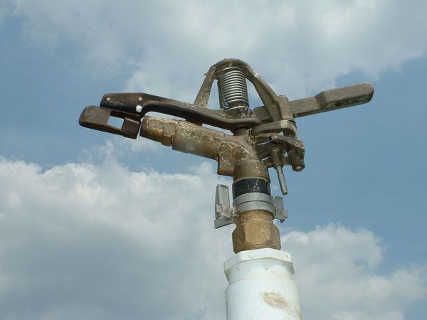 Sprinkler head