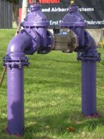 purple-pipe