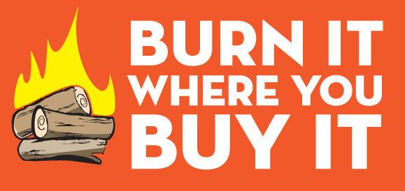 Burn buy