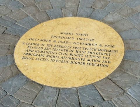 Savio 2