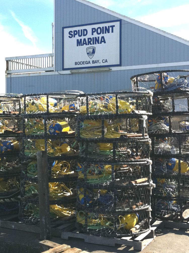 crab pots