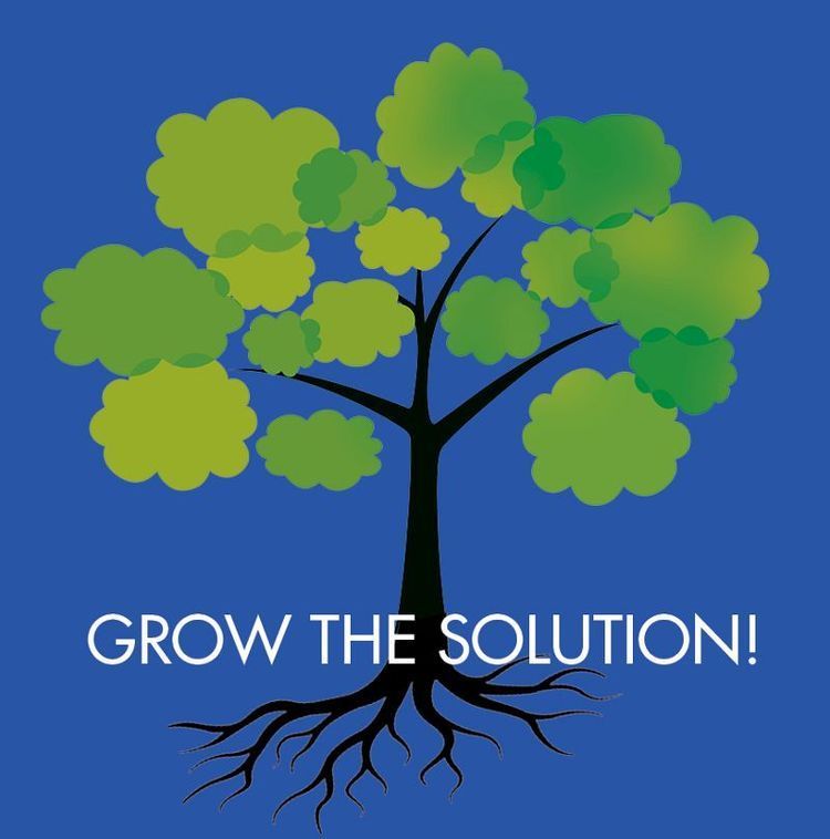 solutionTREEonblue