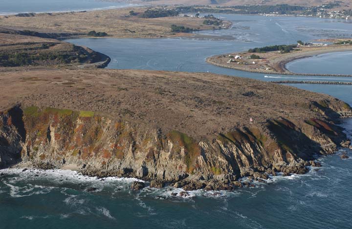 Bodega Head