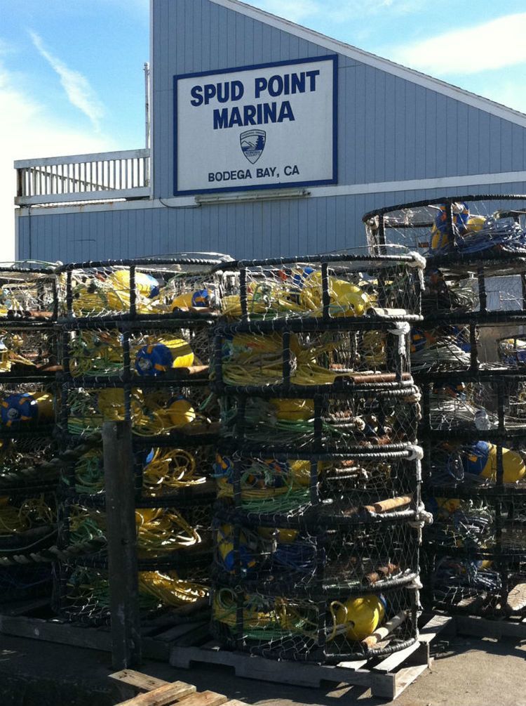 Spud pots