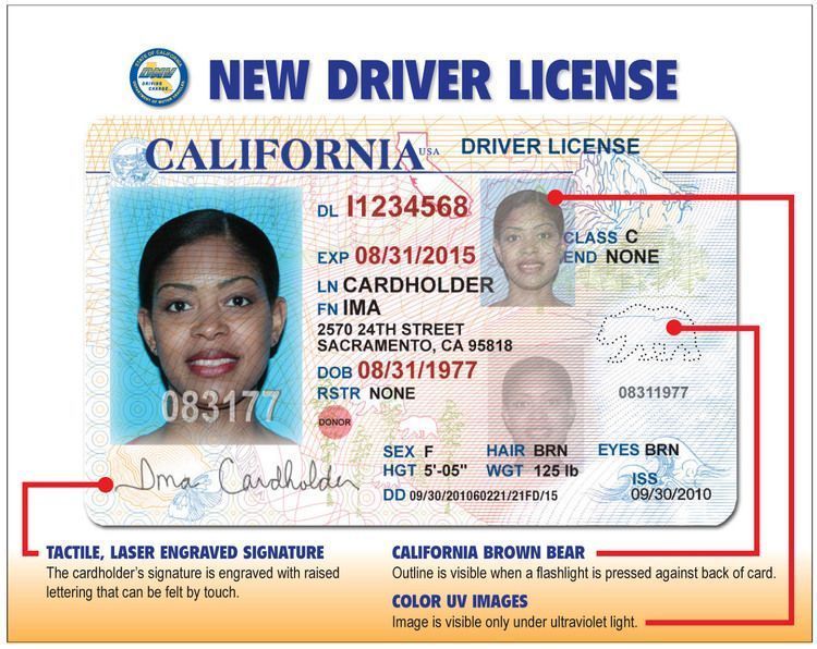 new dl