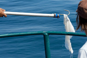 bag-water