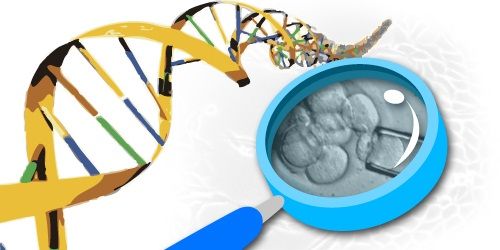 stem-cell-research
