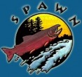 SPAWN_logo