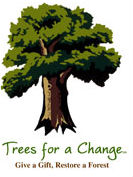 tree-gift