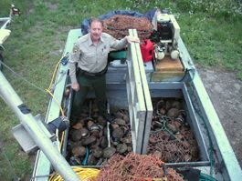 Boatload