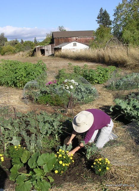 Bayer_Farm