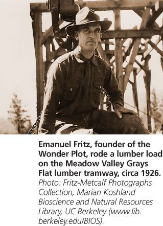 Fritz