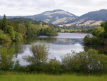 SpringLake