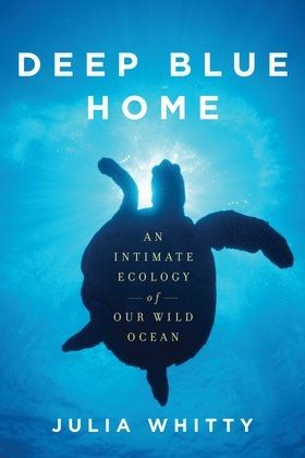 DeepBlueHome-large