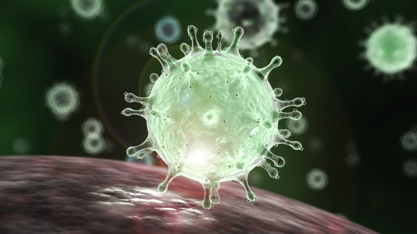 sciencesource ss2413465 wide 239fa0a3976275f12212327667e1257771e49e36