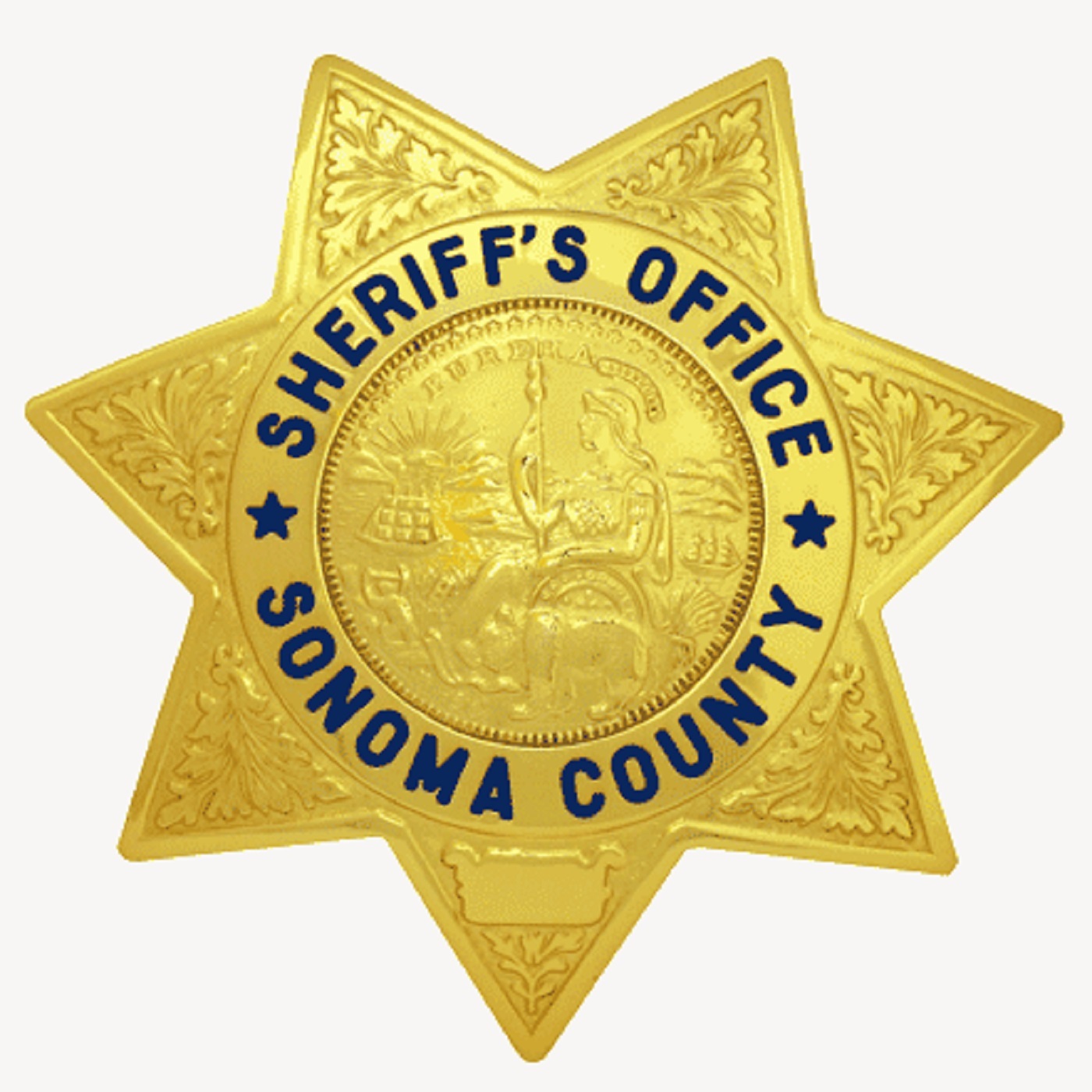 SCSO Clr Bdg Trnsprnt 25