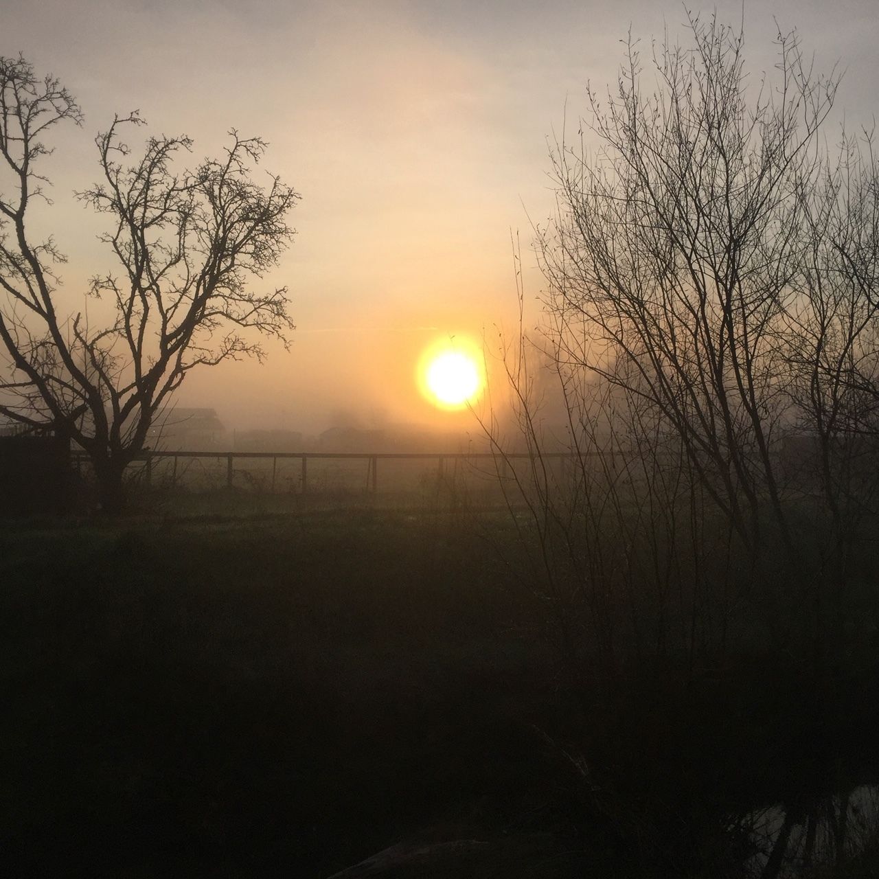 Santa Rosa sunrise