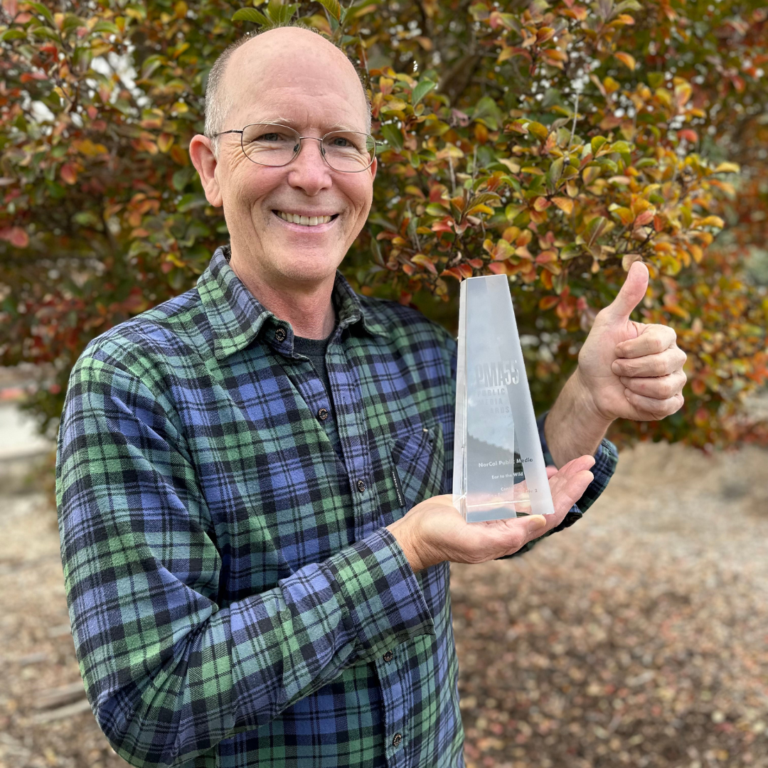 Award