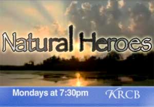 Natural Heroes