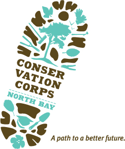 CCNB_logo